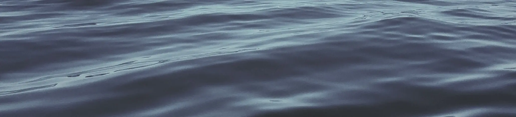 A closeup of the Detroit river waves.