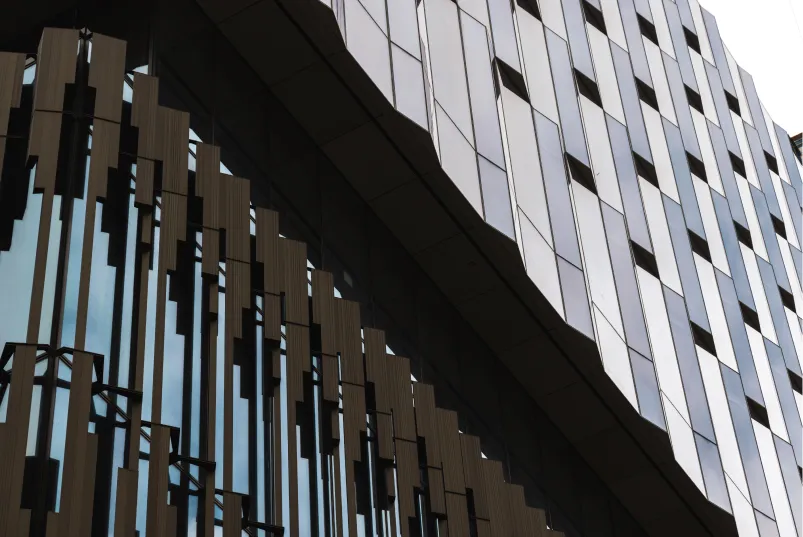 Collage of images of the neighborhood.