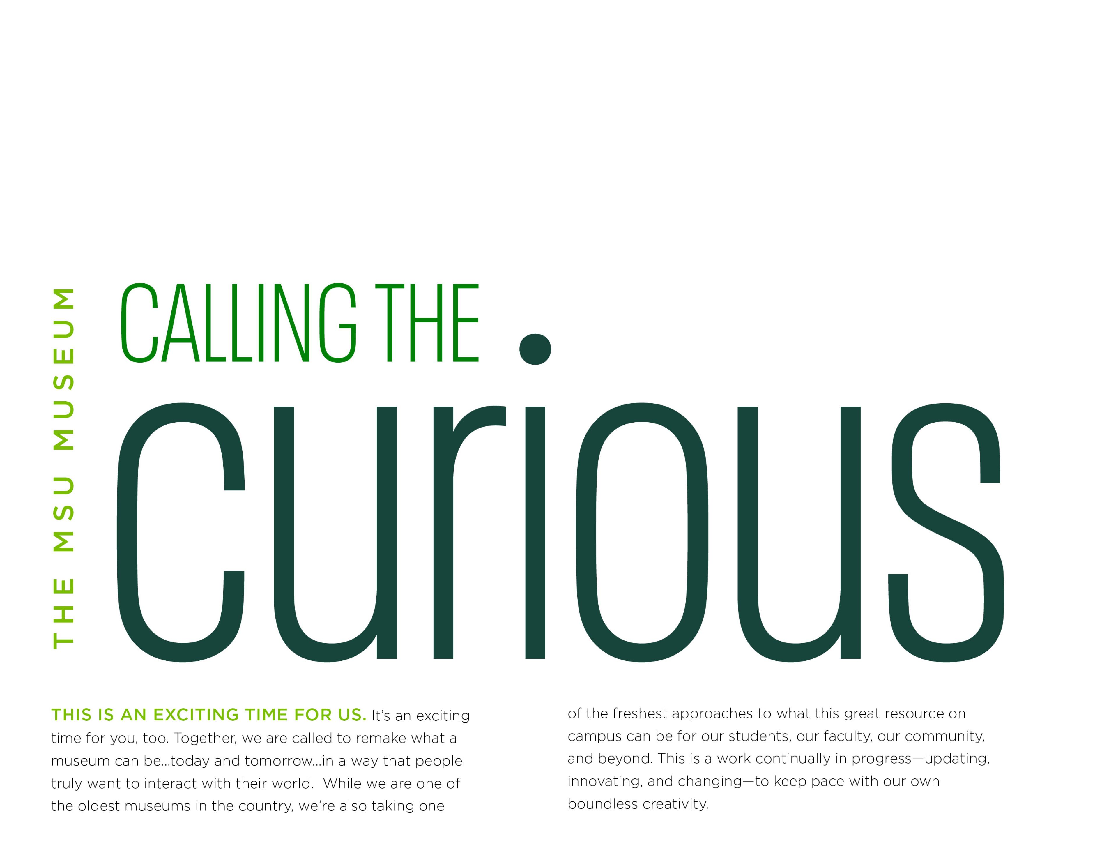 a page from the identity guide - 'Calling the curious. This is an exciting time for us.